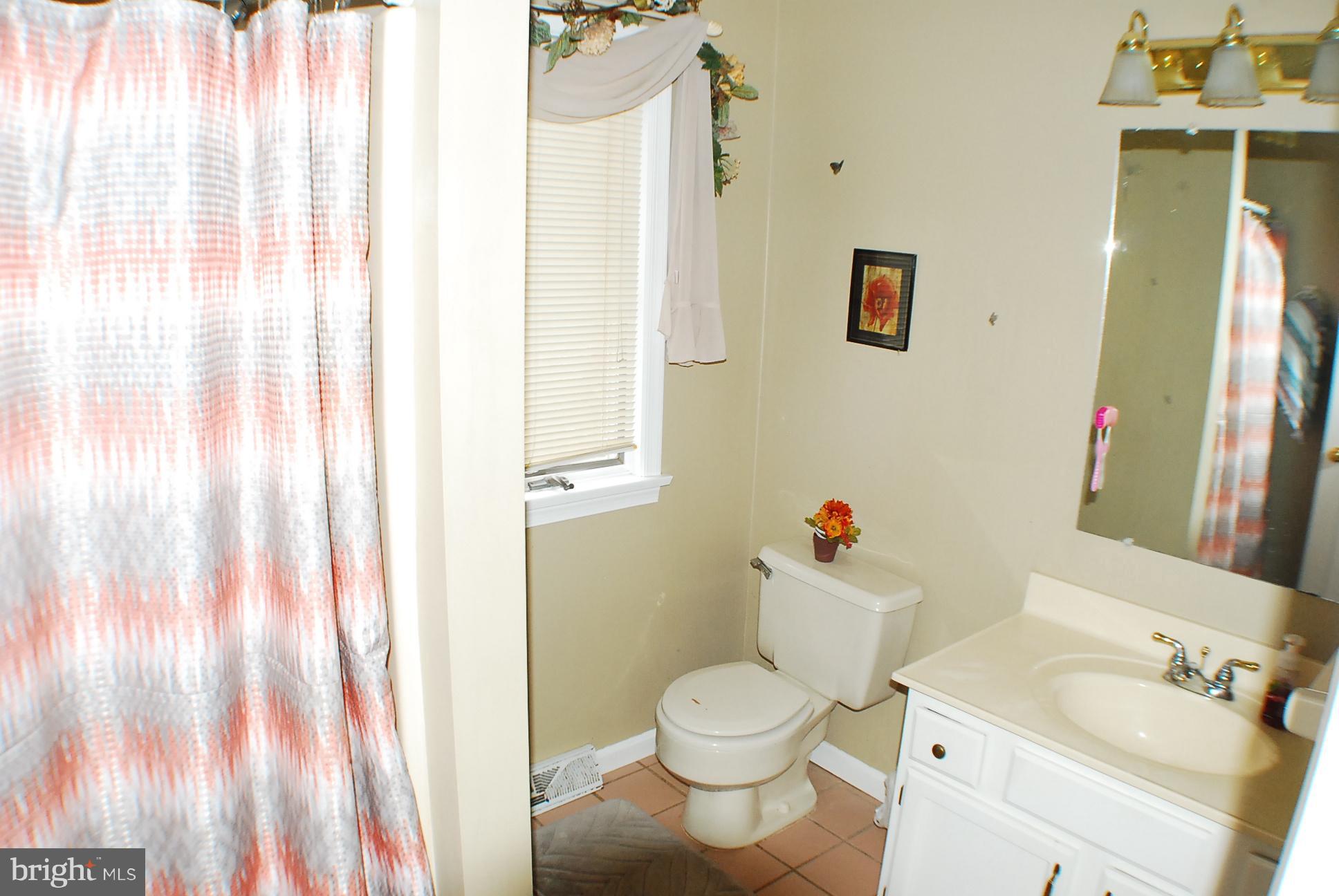 350 Redland Road Cross Junction, VA 22625 - Photo 10 of 30 a white toilet sitting next to a bathroom sink