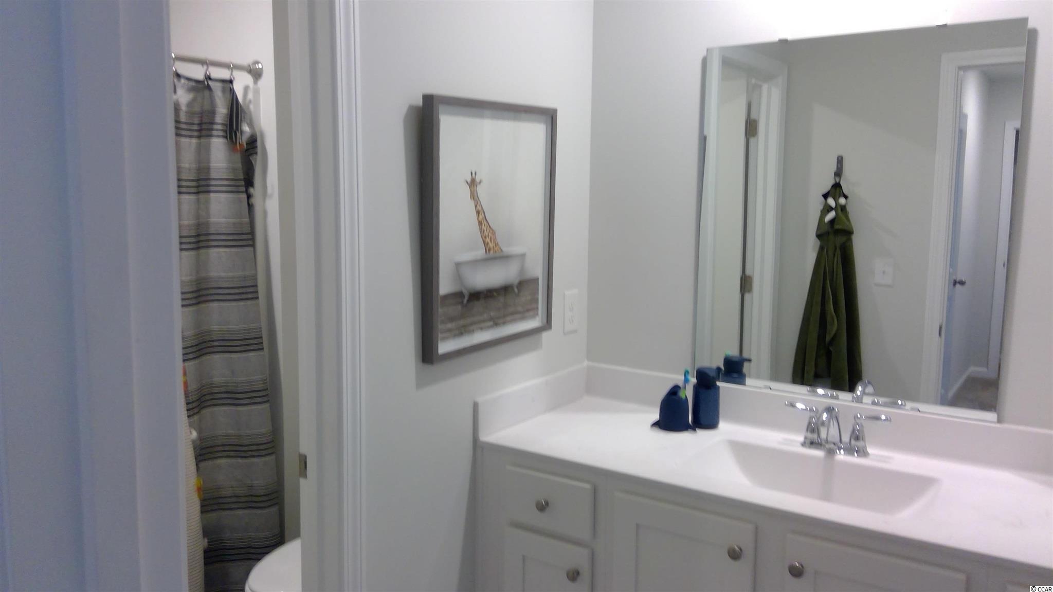 2618 Muhly Court Conway, SC 29526 - Photo 16 of 29