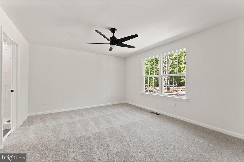 625 Vawter Corner Road Louisa, VA 23093 - Photo 27 of 66