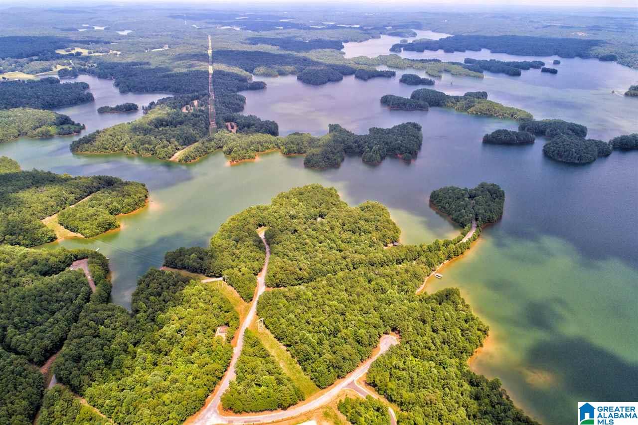 Lot # Jackson Trail, Unit 15 Lineville, AL 36266 - Photo 5 of 17