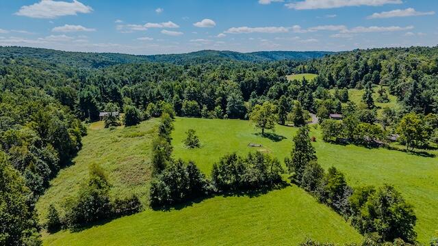0 Free Union Road Meadows Of Dan, VA 24120 - Photo 15 of 20 DJI_20250825124505_0371_D
