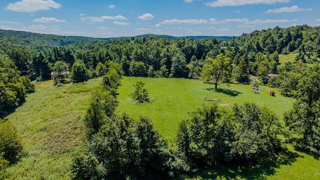 0 Free Union Road Meadows Of Dan, VA 24120 - Photo 16 of 20 DJI_20250825124519_0372_D