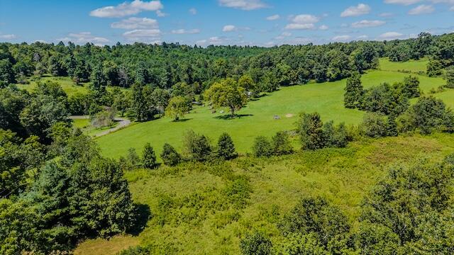 0 Free Union Road Meadows Of Dan, VA 24120 - Photo 17 of 20 DJI_20250825124620_0376_D