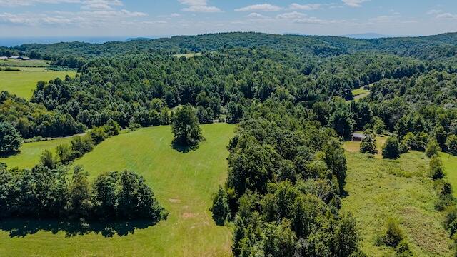 0 Free Union Road Meadows Of Dan, VA 24120 - Photo 19 of 20 DJI_20250825123927_0360_D