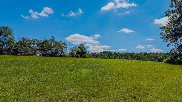 0 Free Union Road Meadows Of Dan, VA 24120 - Photo 5 of 20 DJI_20250825123741_0350_D