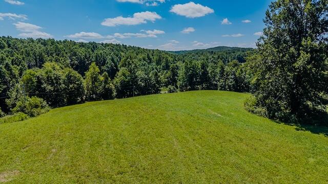 0 Free Union Road Meadows Of Dan, VA 24120 - Photo 6 of 20 DJI_20250825123802_0351_D