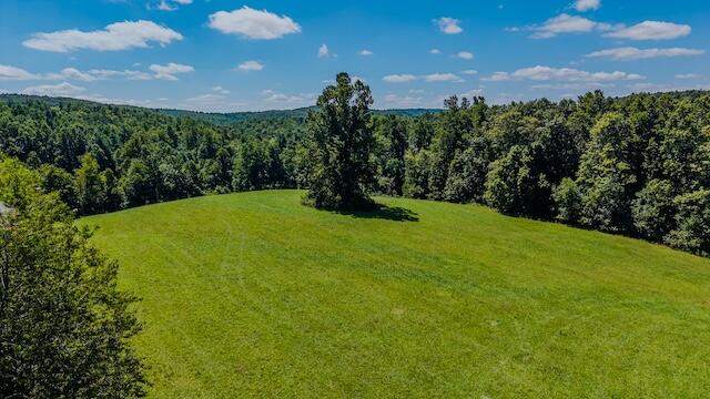 0 Free Union Road Meadows Of Dan, VA 24120 - Photo 7 of 20 DJI_20250825123826_0353_D
