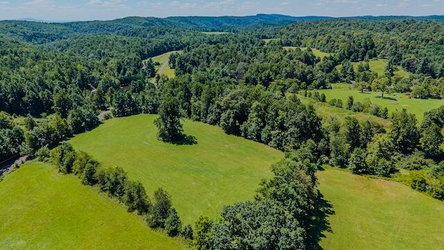 0 Free Union Road Meadows Of Dan, VA 24120 - Photo 8 of 20 DJI_20250825123840_0355_D