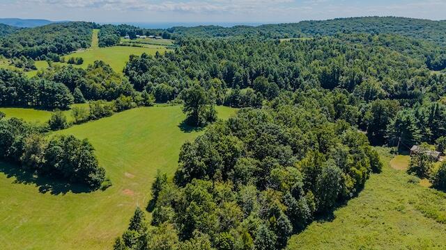 0 Free Union Road Meadows Of Dan, VA 24120 - Photo 9 of 20 DJI_20250825123909_0357_D