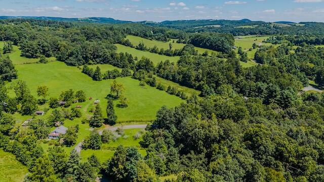 0 Free Union Road Meadows Of Dan, VA 24120 - Photo 10 of 20 DJI_20250825124028_0363_D