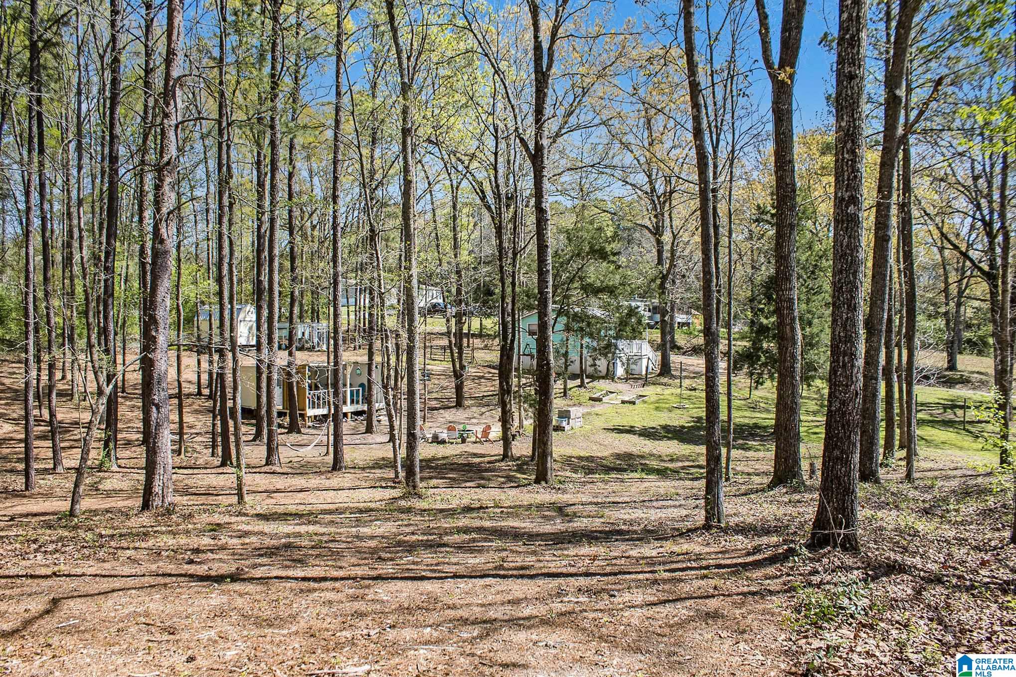 35 Peach Road Brierfield, AL 35035 - Photo 15 of 18