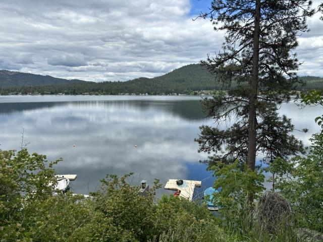 45116 Lakeshore Homes Road Loon Lake, WA 99148 - Photo 48 of 50