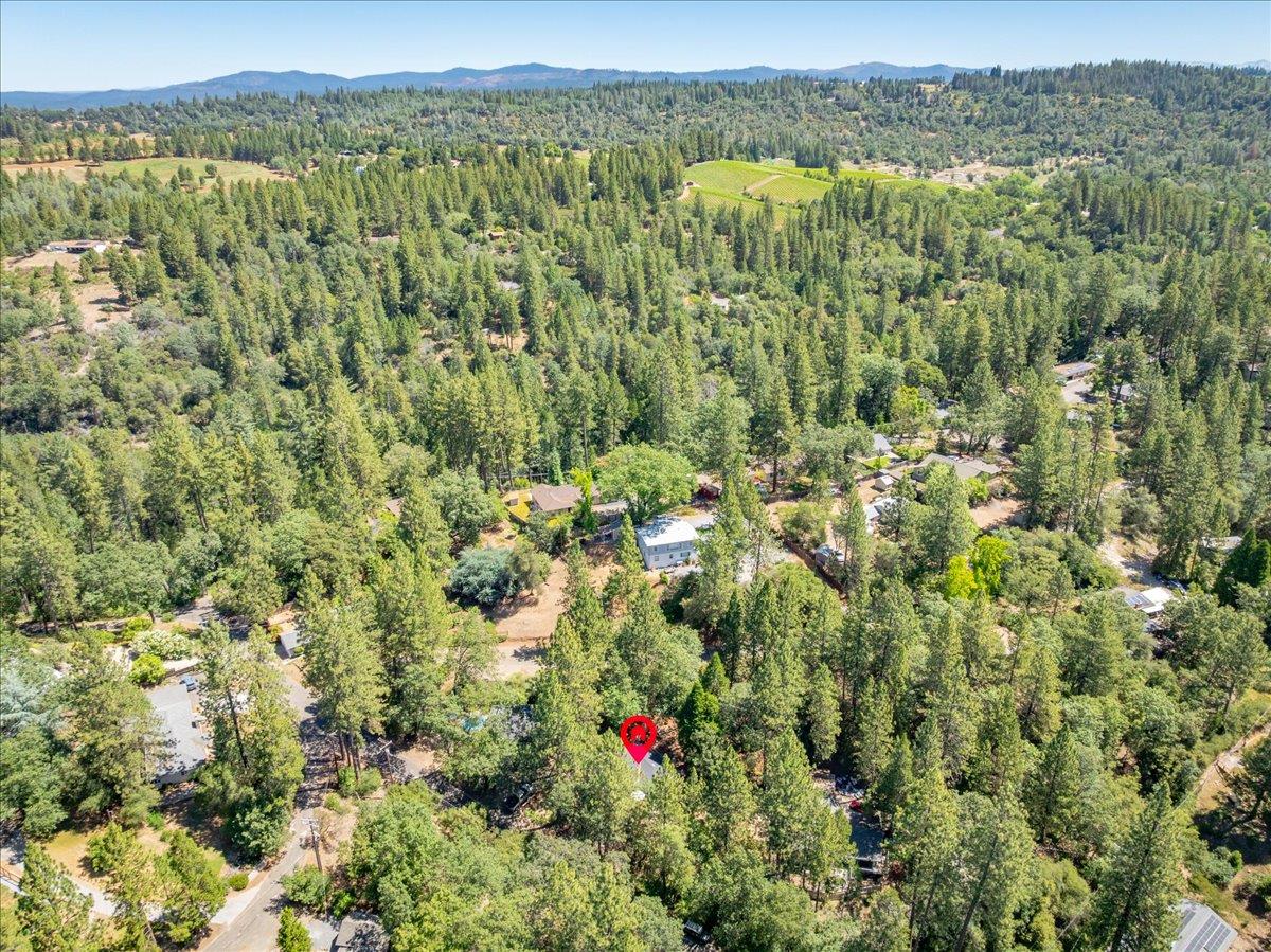 2939 Letitia Avenue Placerville, CA 95667 - Photo 53 of 59