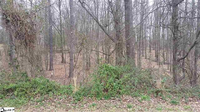 530 Signal Hill Lane Inman, SC 29349 - Photo 1 of 4 Gallery Image 1