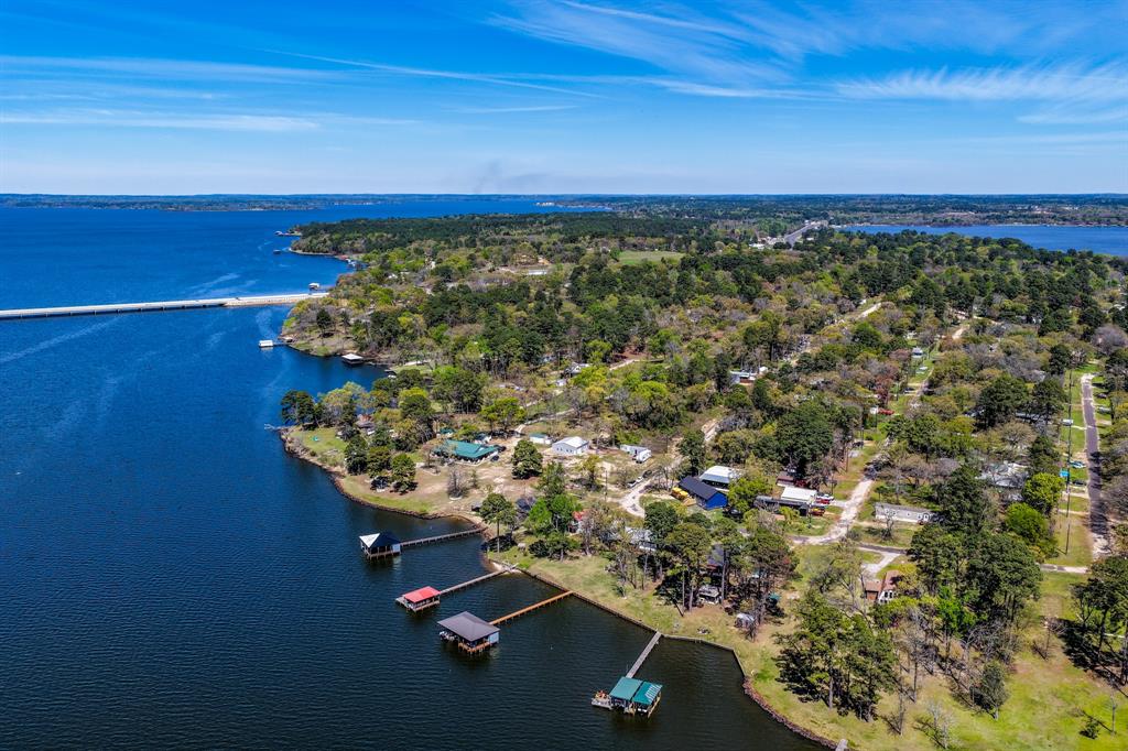 23363 Wateridge Loop Flint, TX 75762 - Photo 3 of 39