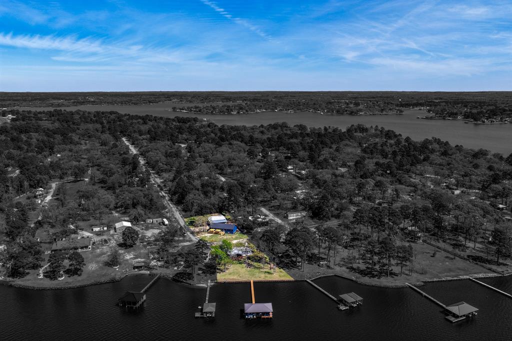 23363 Wateridge Loop Flint, TX 75762 - Photo 4 of 39