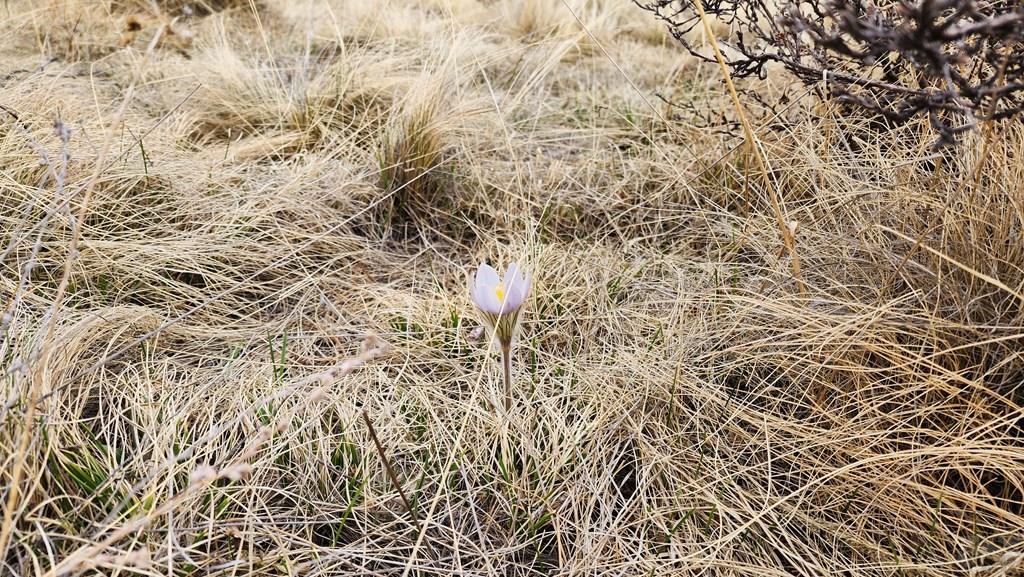 0 County Road Victor, CO 80860 - Photo 19 of 21