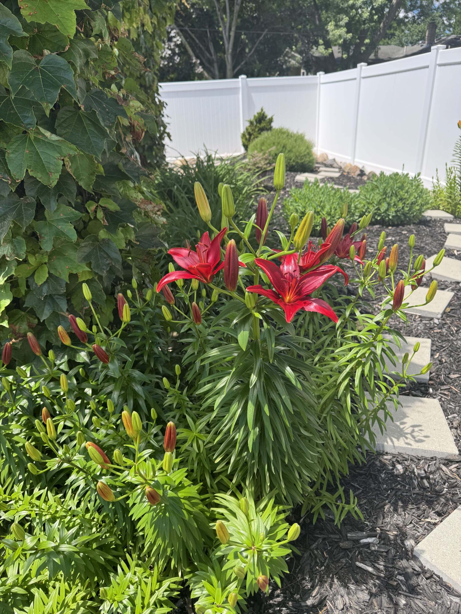 5580 Textile Road Ypsilanti, MI 48197 - Photo 95 of 107 Landscaping