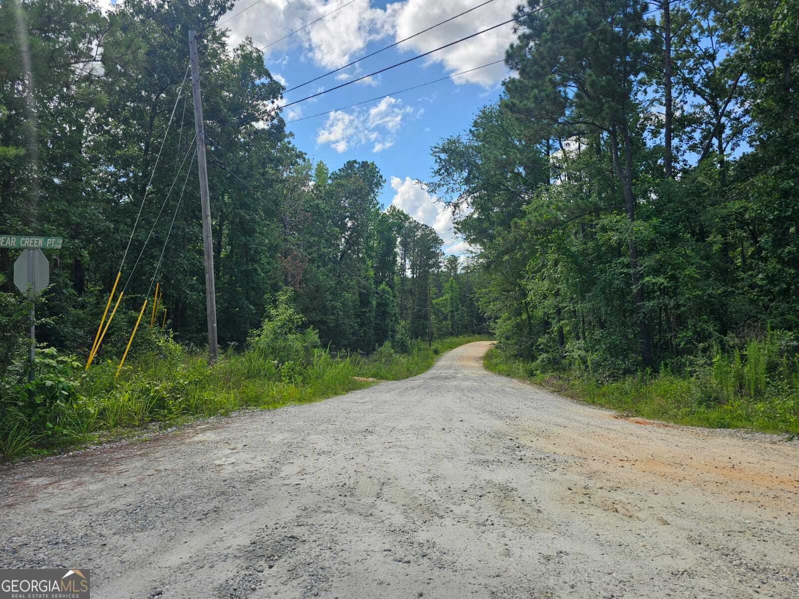 2.8-ac Bear Creek Point Road Mansfield, GA 30055 - Photo 3 of 7