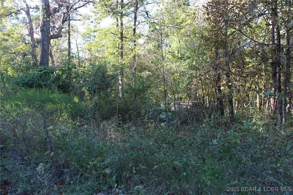 $6,750 | Dogwood Drive, Stover, MO 65078