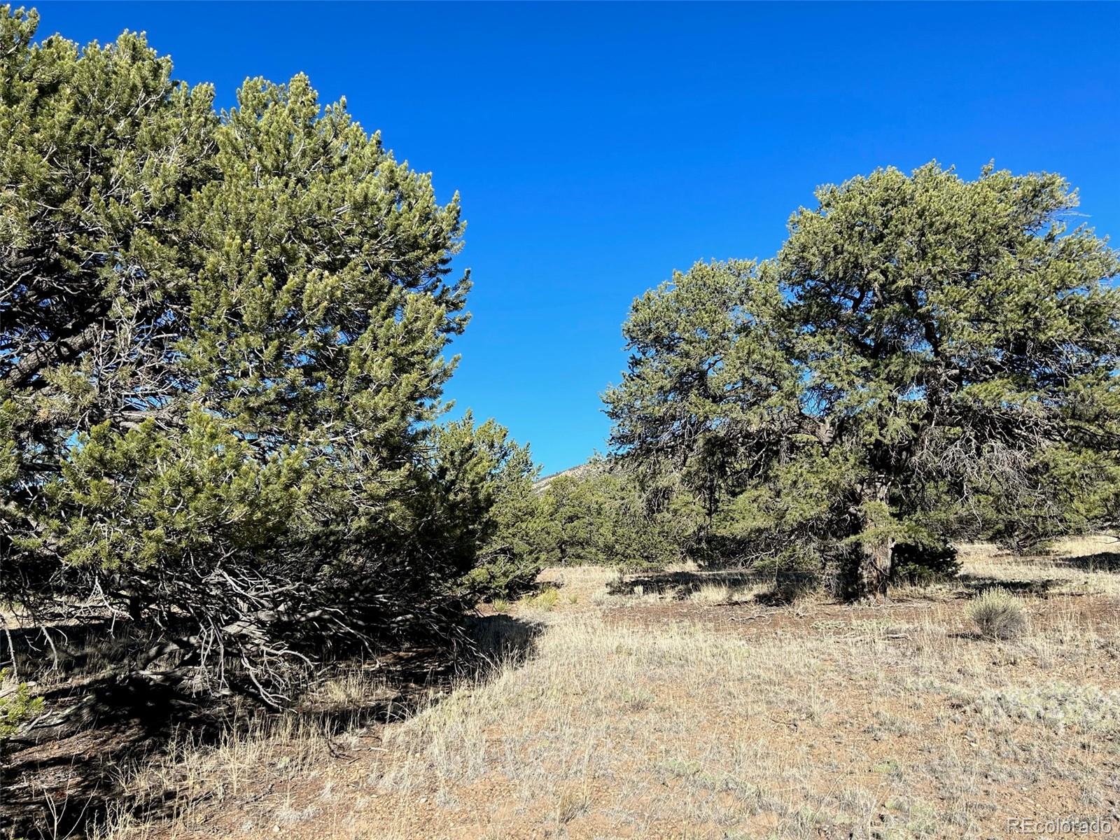 103 Indian Hill Road Mosca, CO 81146 - Photo 2 of 5