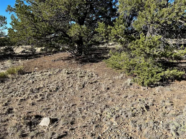 $19,000 | 103 Indian Hill Road, Mosca, CO 81146