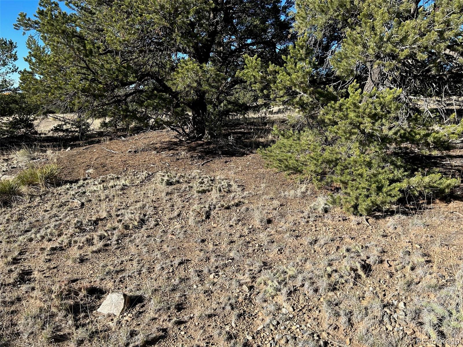 103 Indian Hill Road Mosca, CO 81146 - Photo 3 of 5