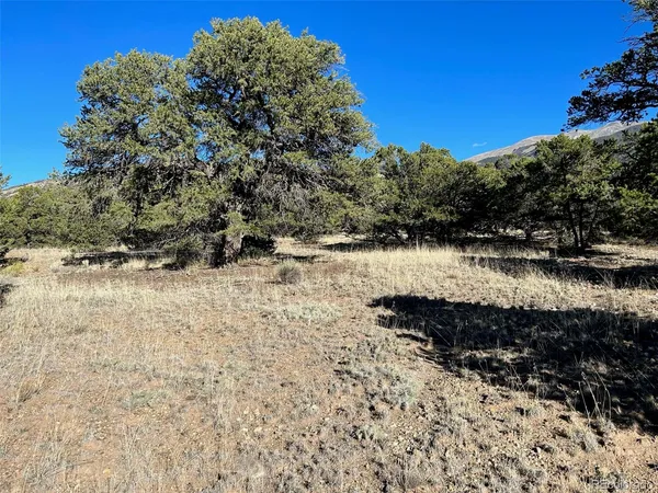 $19,000 | 103 Indian Hill Road, Mosca, CO 81146