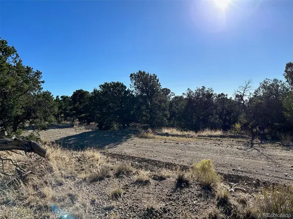 $19,000 | 103 Indian Hill Road, Mosca, CO 81146