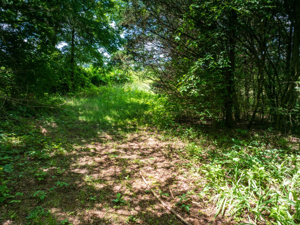 0 McGhee Road Greenback, TN 37742 - Photo 29 of 40