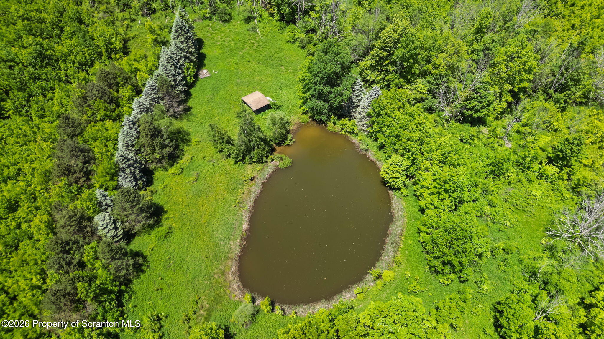 153 Daw Road Pleasant Mount, PA 18453 - Photo 7 of 34 Arial