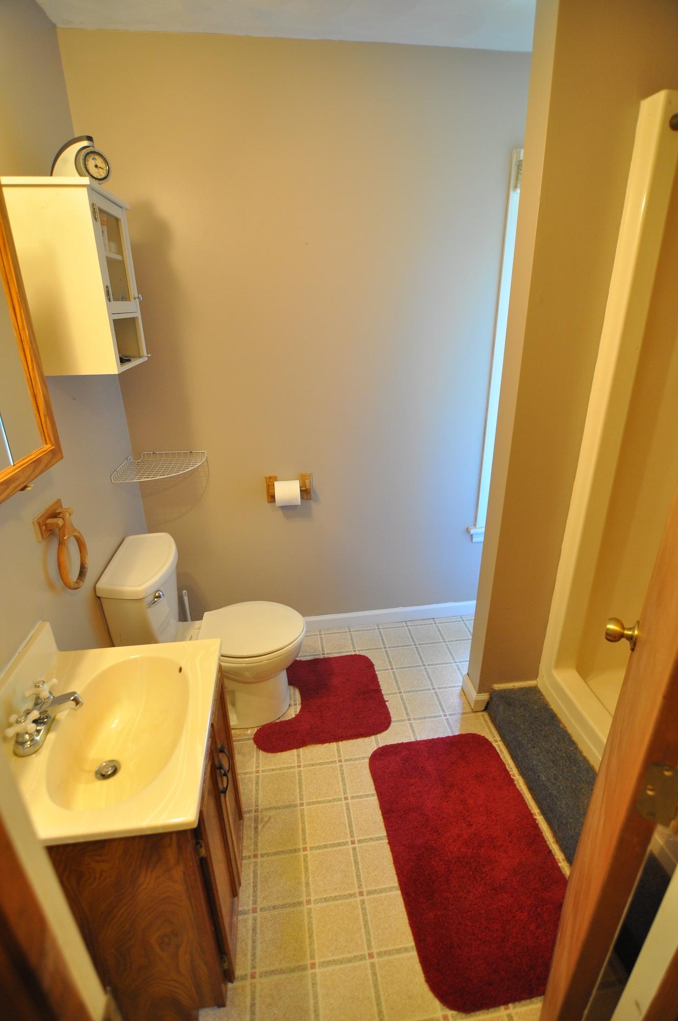 4744 Phyllis Road Northeast Roanoke, VA 24012 - Photo 26 of 43 Full Bath in Basement