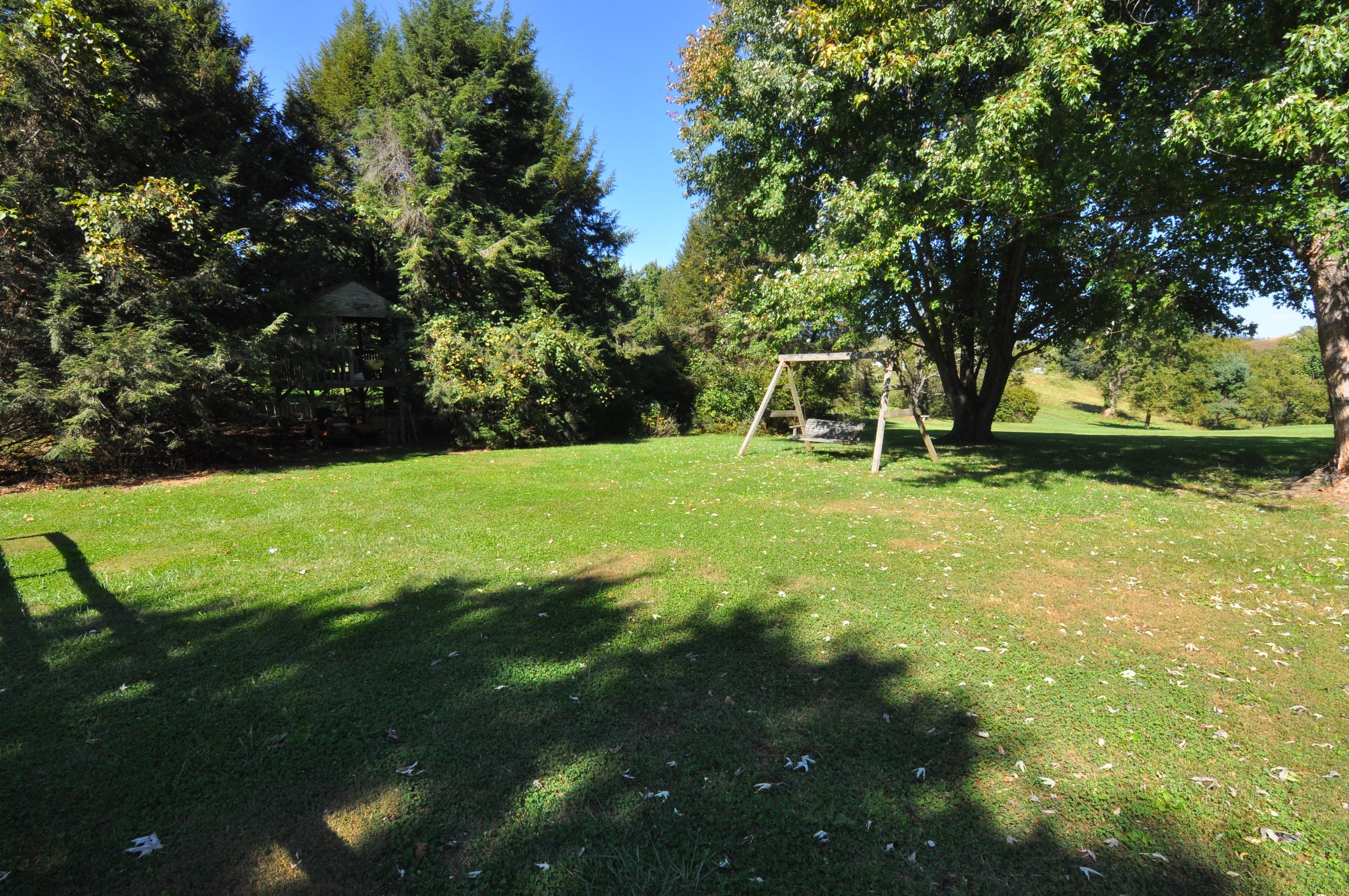 4744 Phyllis Road Northeast Roanoke, VA 24012 - Photo 32 of 43 Side yard 2