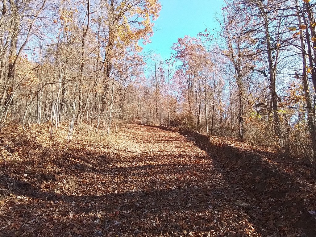 1500 Bear Mountain Road Murphy, NC 28906 - Photo 2 of 5