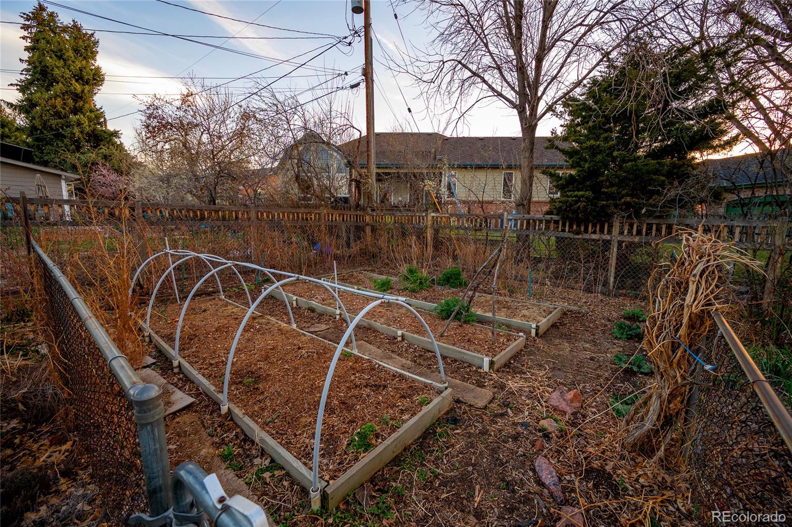 3983 Rolfe Court Wheat Ridge, CO 80033 - Photo 6 of 39