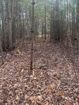 $49,900 | 21 Blue Ridge Lane, Monroe, VA 24574