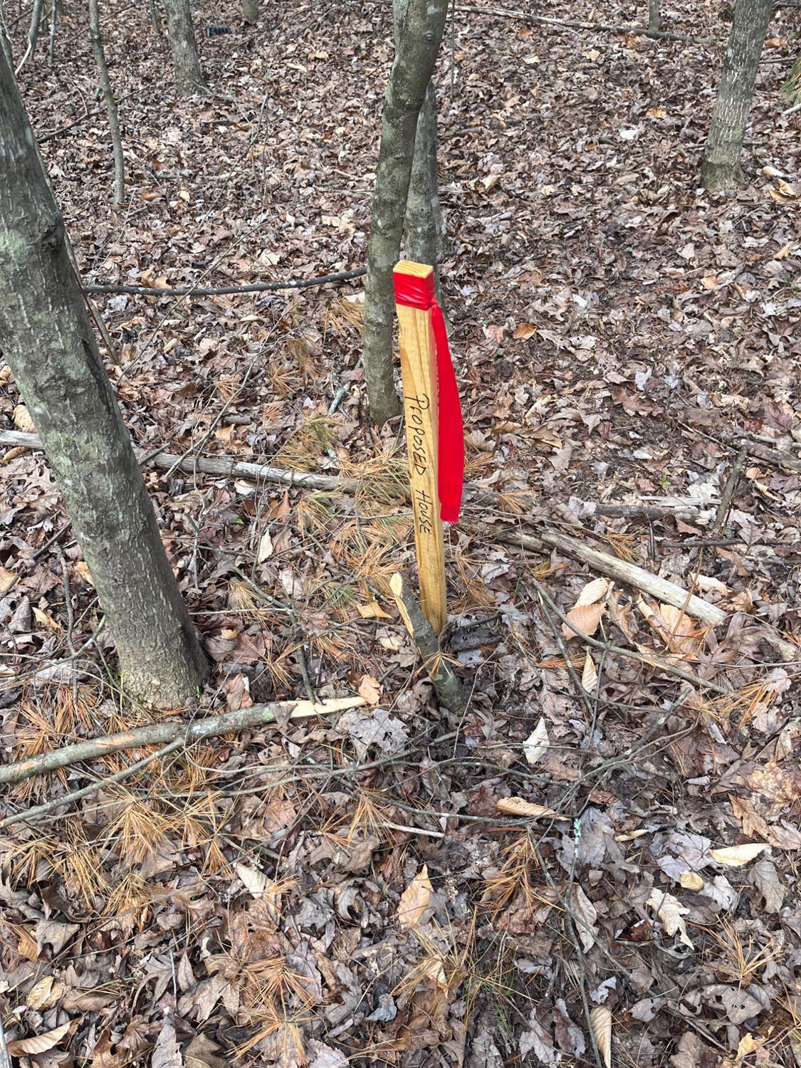 21 Blue Ridge Lane Monroe, VA 24574 - Photo 11 of 15