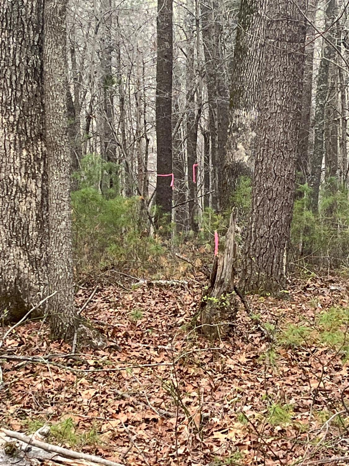 21 Blue Ridge Lane Monroe, VA 24574 - Photo 12 of 15