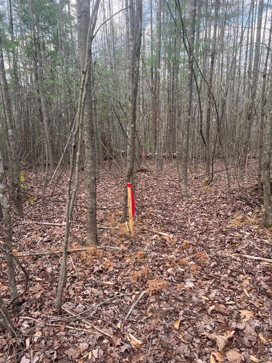 21 Blue Ridge Lane Monroe, VA 24574 - Photo 13 of 15