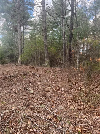 $49,900 | 21 Blue Ridge Lane, Monroe, VA 24574