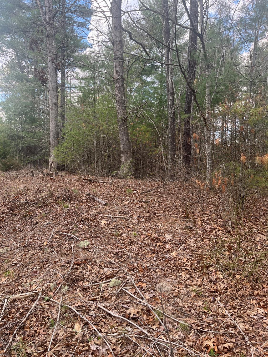 21 Blue Ridge Lane Monroe, VA 24574 - Photo 3 of 15