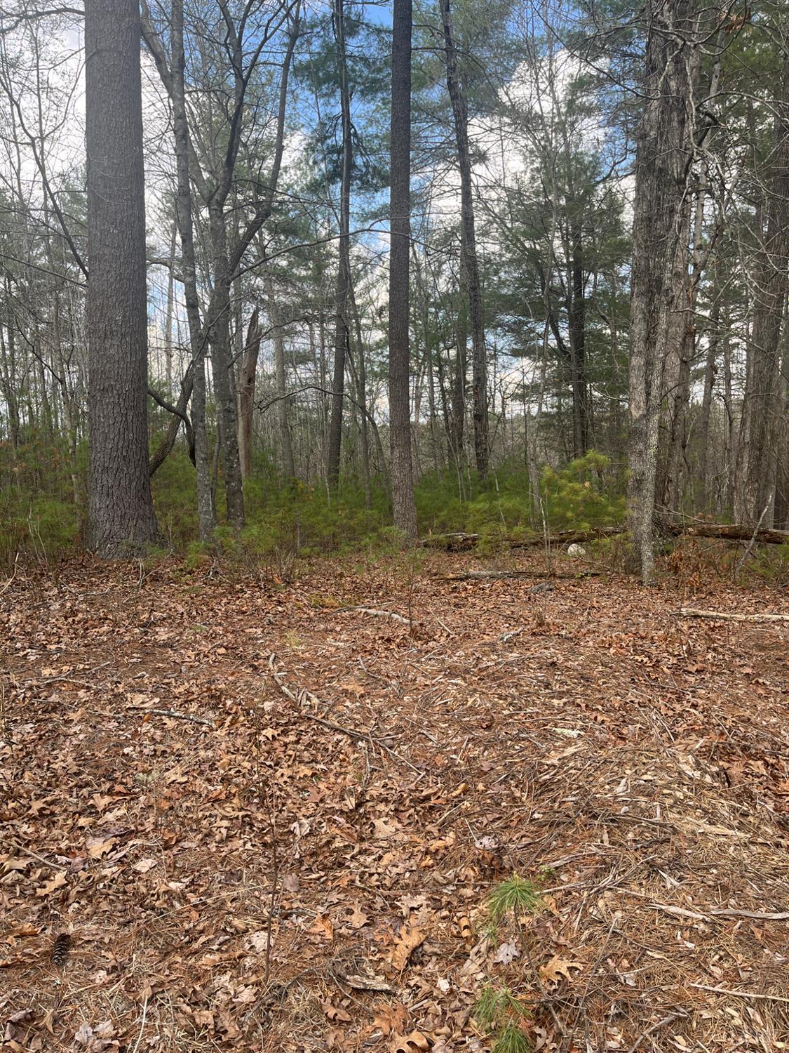 21 Blue Ridge Lane Monroe, VA 24574 - Photo 4 of 15