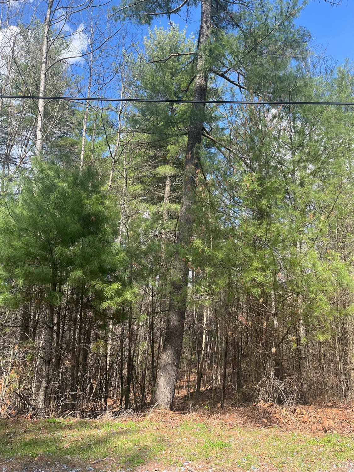 21 Blue Ridge Lane Monroe, VA 24574 - Photo 5 of 15