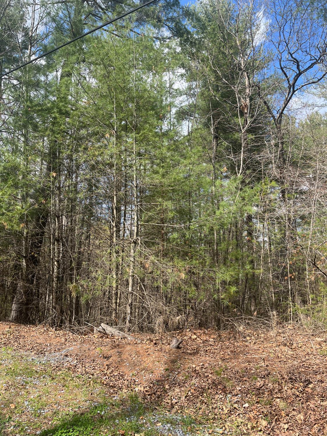 21 Blue Ridge Lane Monroe, VA 24574 - Photo 6 of 15