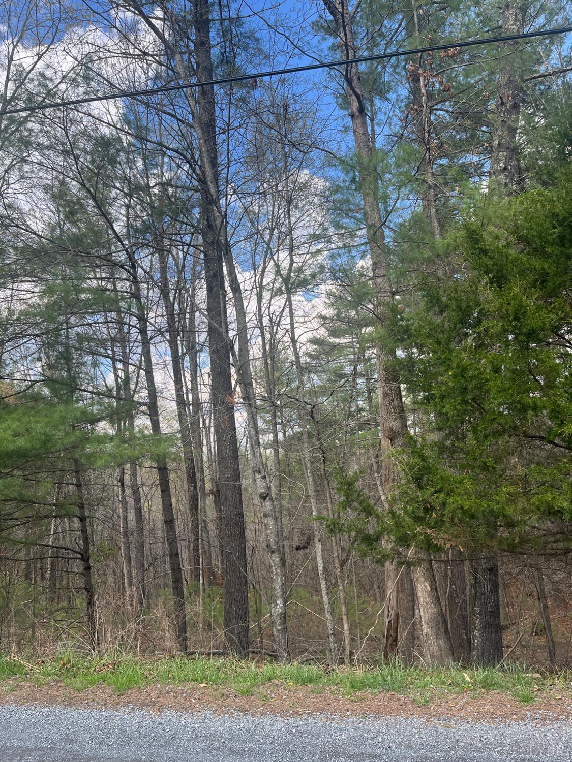 21 Blue Ridge Lane Monroe, VA 24574 - Photo 7 of 15