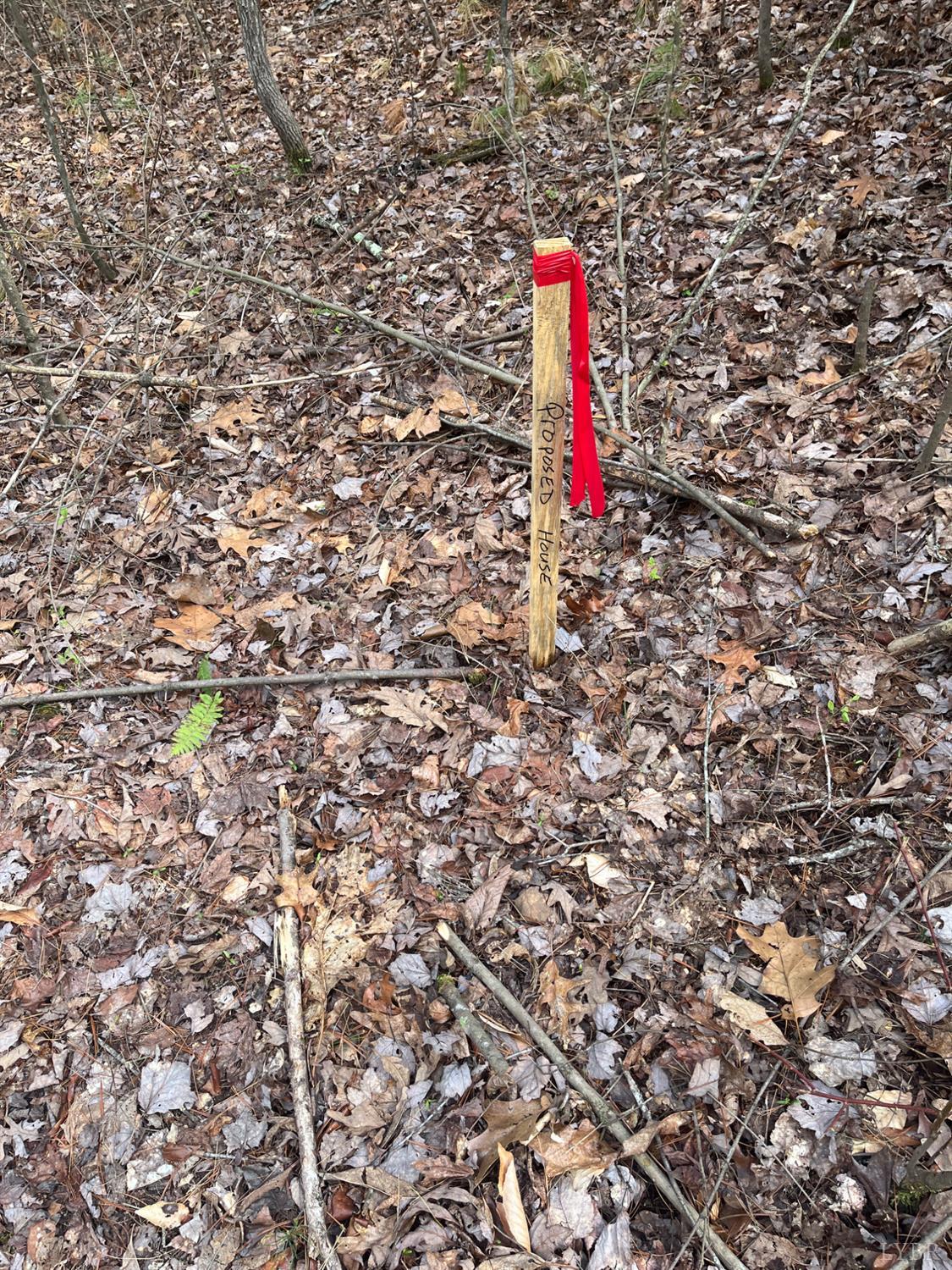 21 Blue Ridge Lane Monroe, VA 24574 - Photo 8 of 15