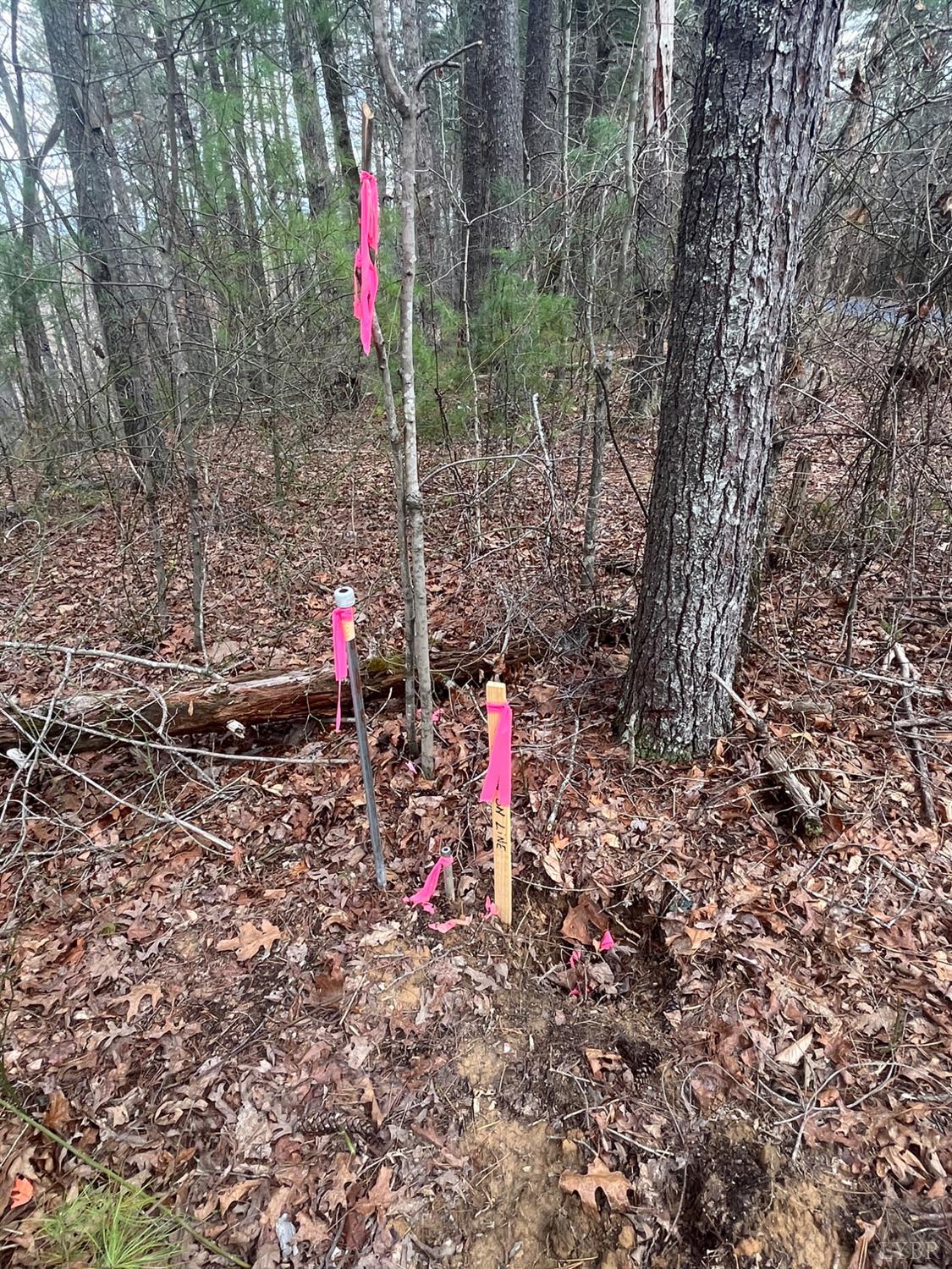 21 Blue Ridge Lane Monroe, VA 24574 - Photo 9 of 15