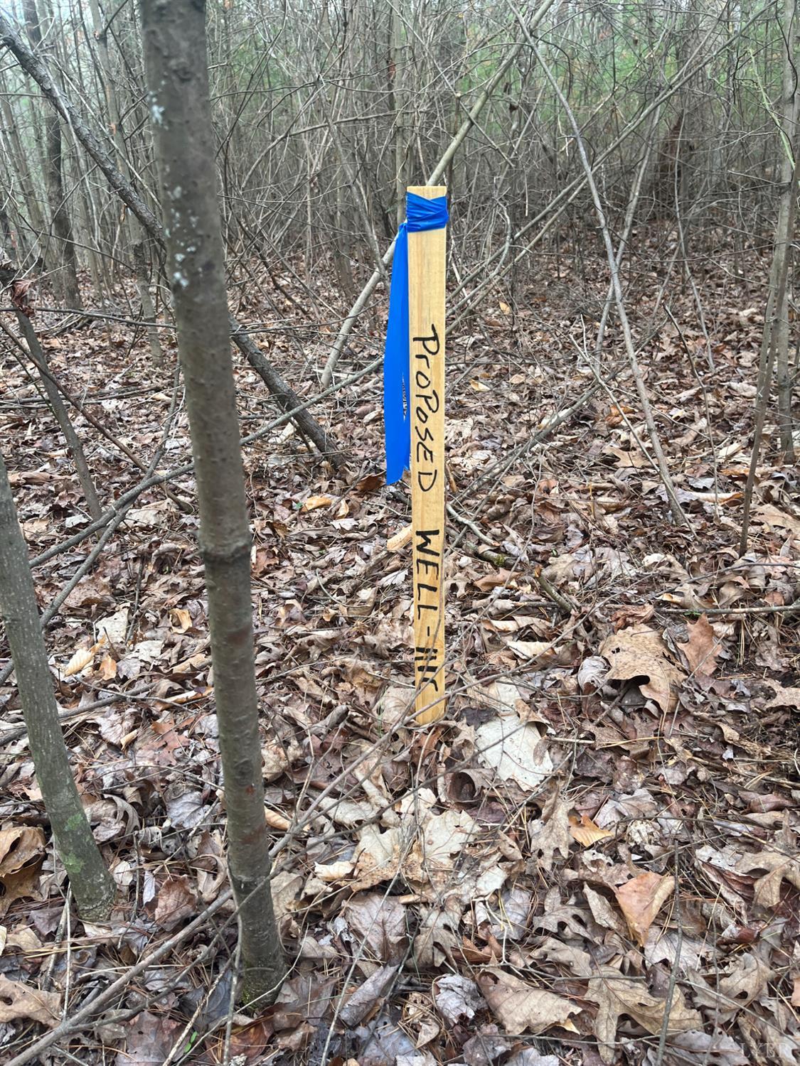 21 Blue Ridge Lane Monroe, VA 24574 - Photo 10 of 15