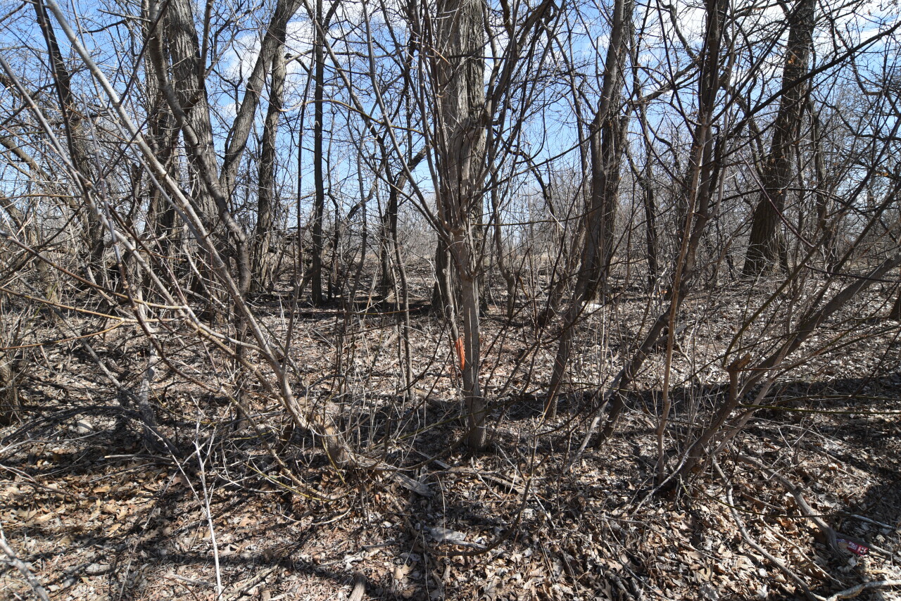 Lt3 North Lannon Road Lannon, WI 53046 - Photo 2 of 11 Ground View from Lannon Rd