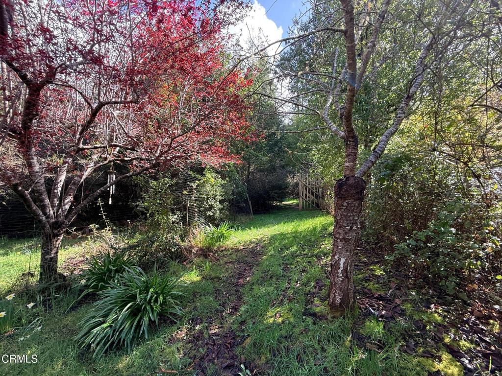 3480 Albion Ridge G Road North Albion, CA 95410 - Photo 23 of 32 Garden